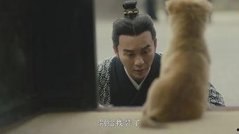 国产男人的天堂,男人的天堂，情感与激情的完美融合